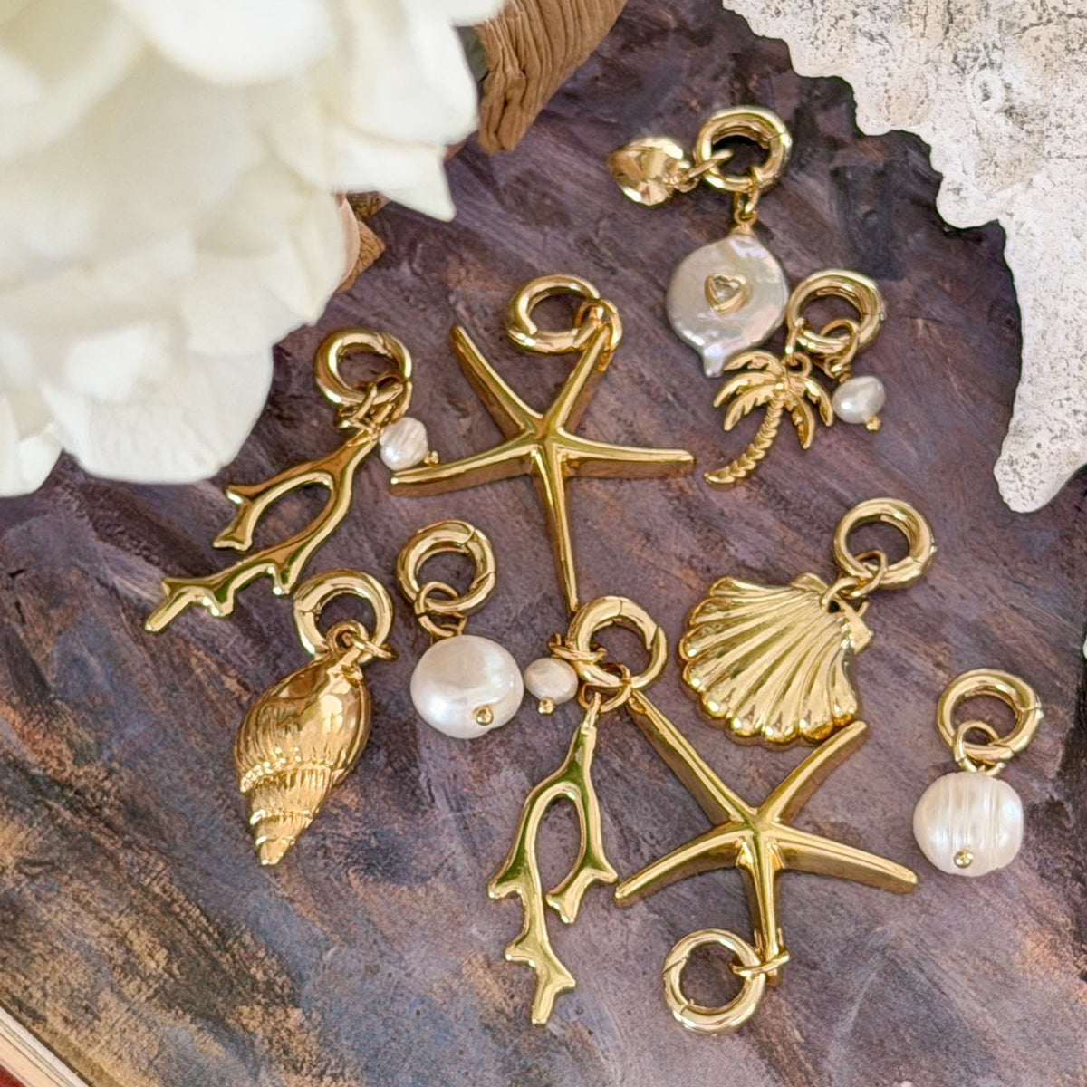 Conch Cove Charm Cluster
