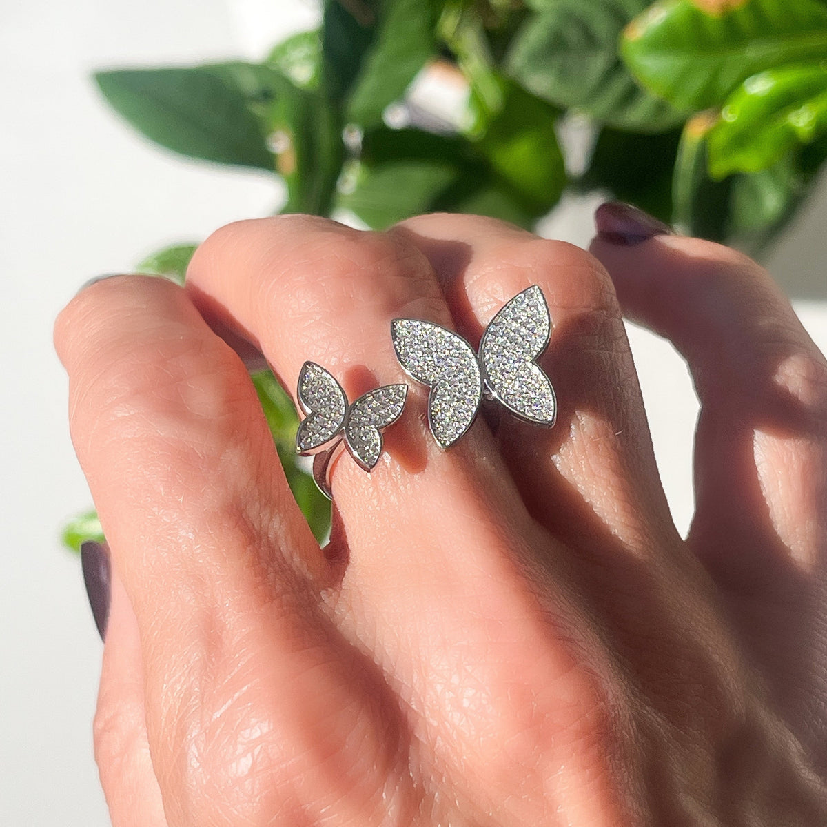 The Butterfly Ring