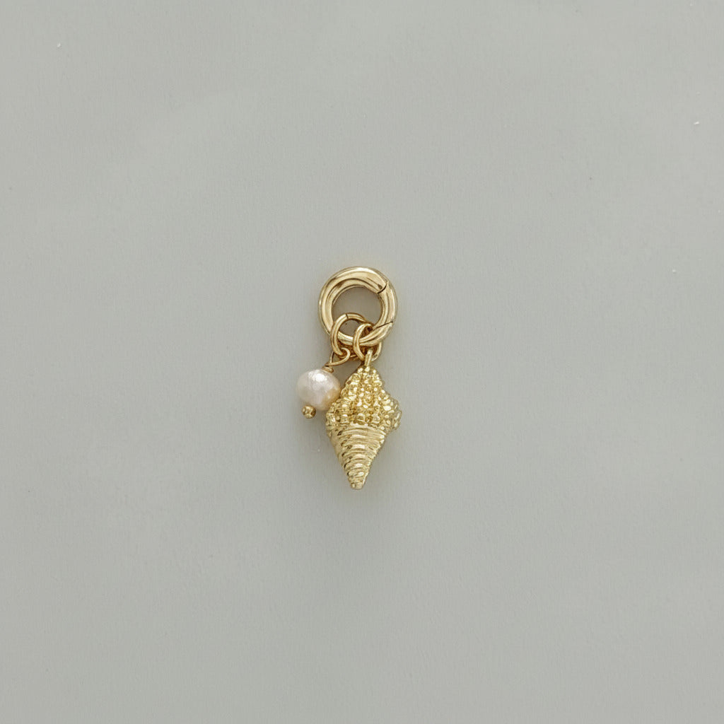 Conch Cove Charm Cluster