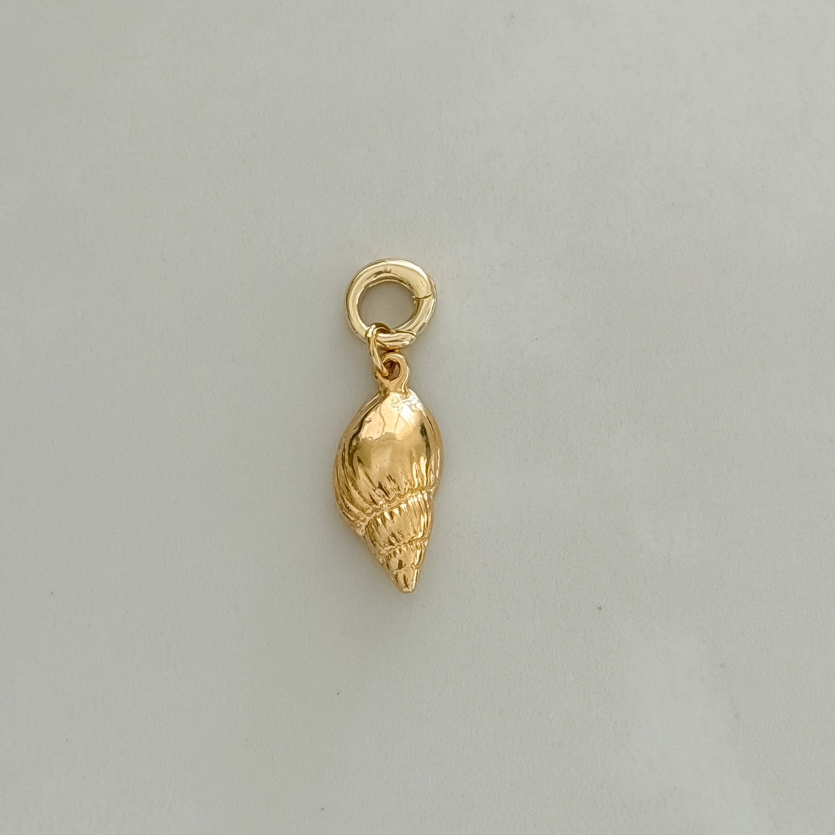Conch Shell Charm