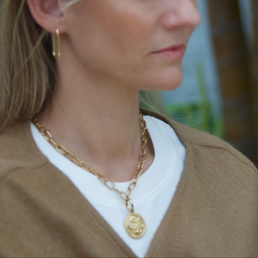 Transformation | The Snake Medallion