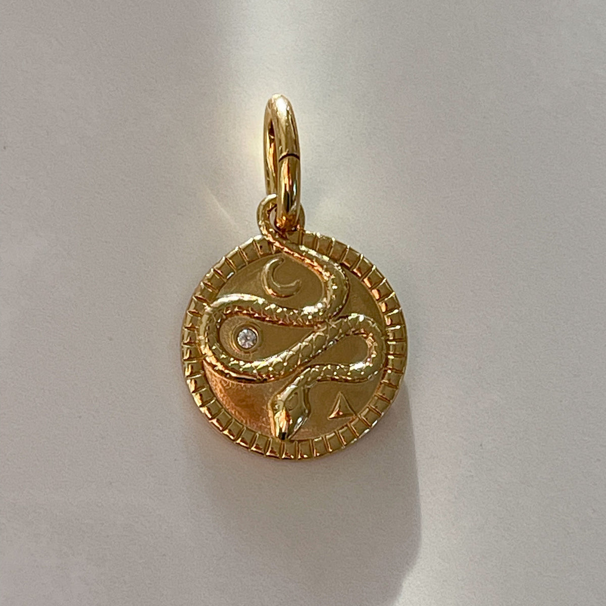 Transformation | The Snake Medallion